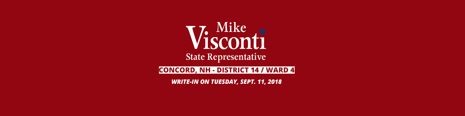 Vote Mike Visconti, State Rep. Concord NH District 14, Ward 4 Letter to the Editor